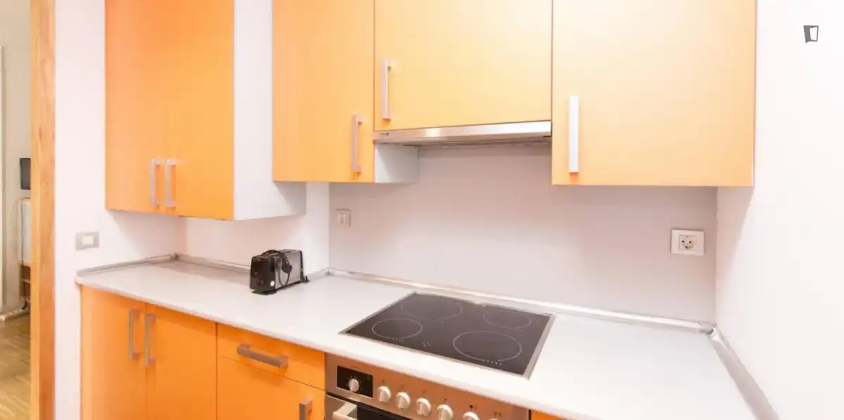 Apartament amb ascensor de lloguer a Centro, imagen 16