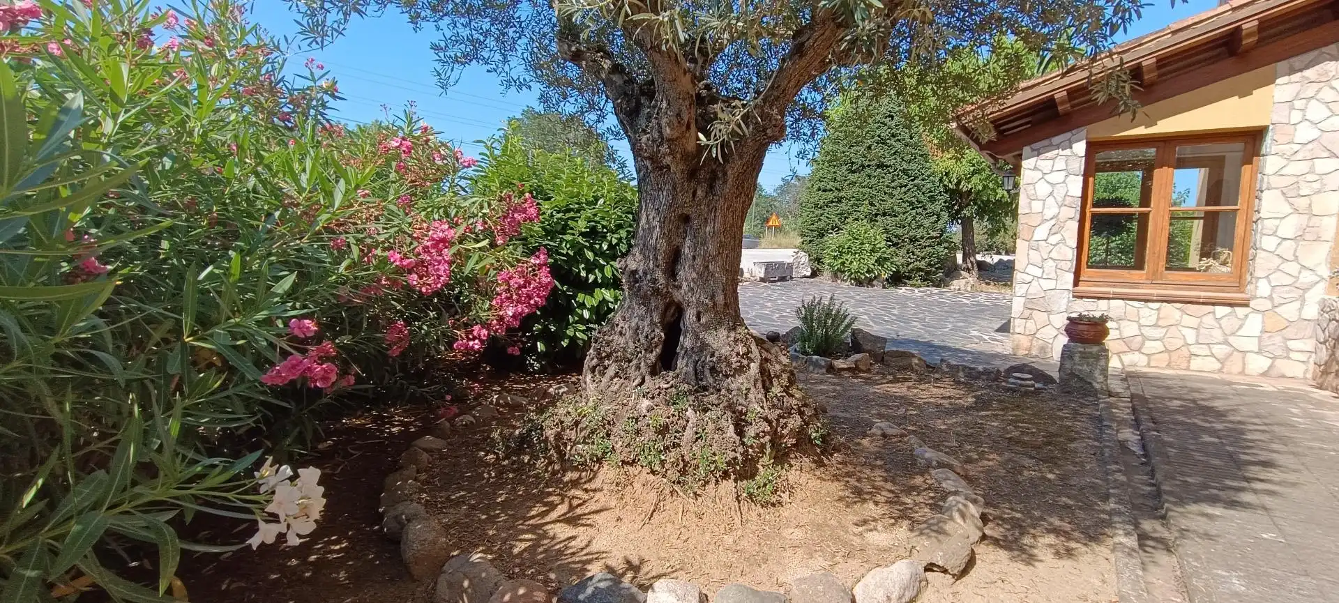Local de alquiler en Gualba