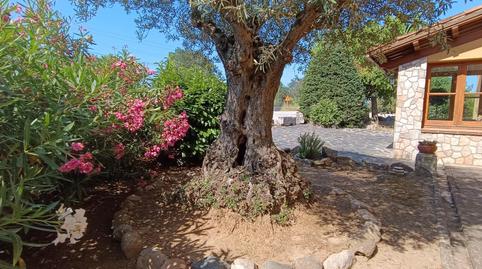 Photo 5 of Premises to rent in Gualba, Barcelona