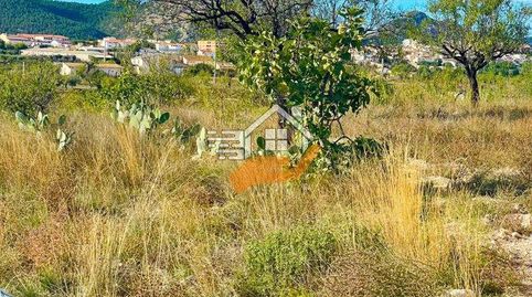 Finca Rúst. en venta en VélezRubio., immagine 5