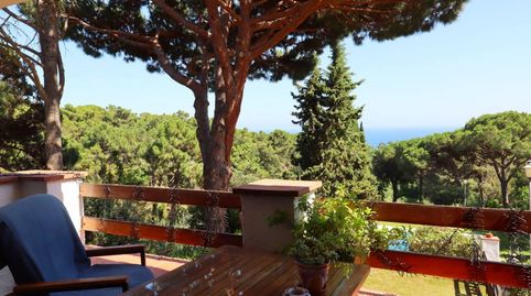 Photo 4 of Detached homes for sale in Avenida Llevantina, Montgoda, Lloret de Mar