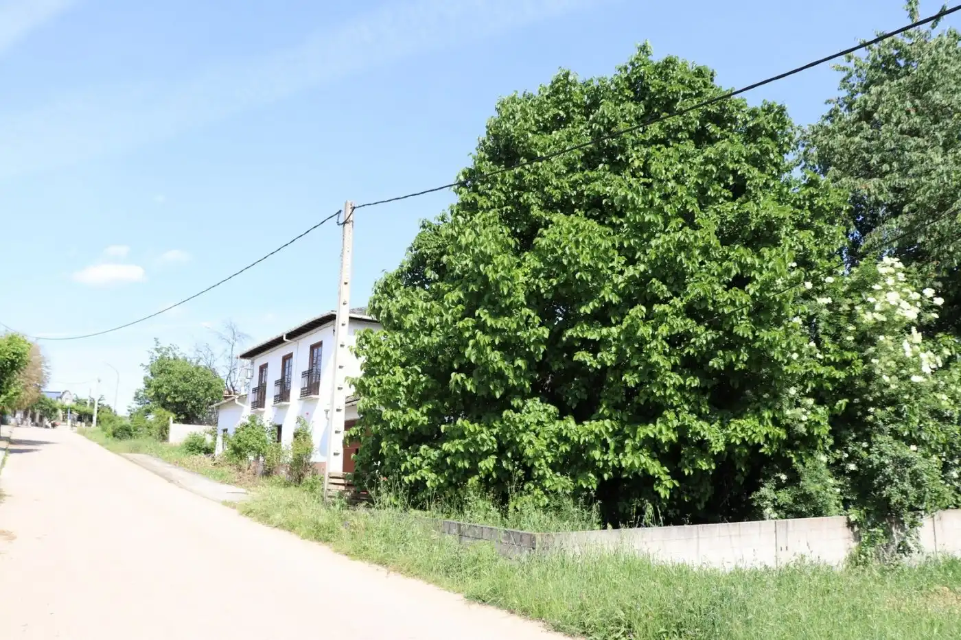 Finca rústica en venta en Cabañas Raras con Terraza