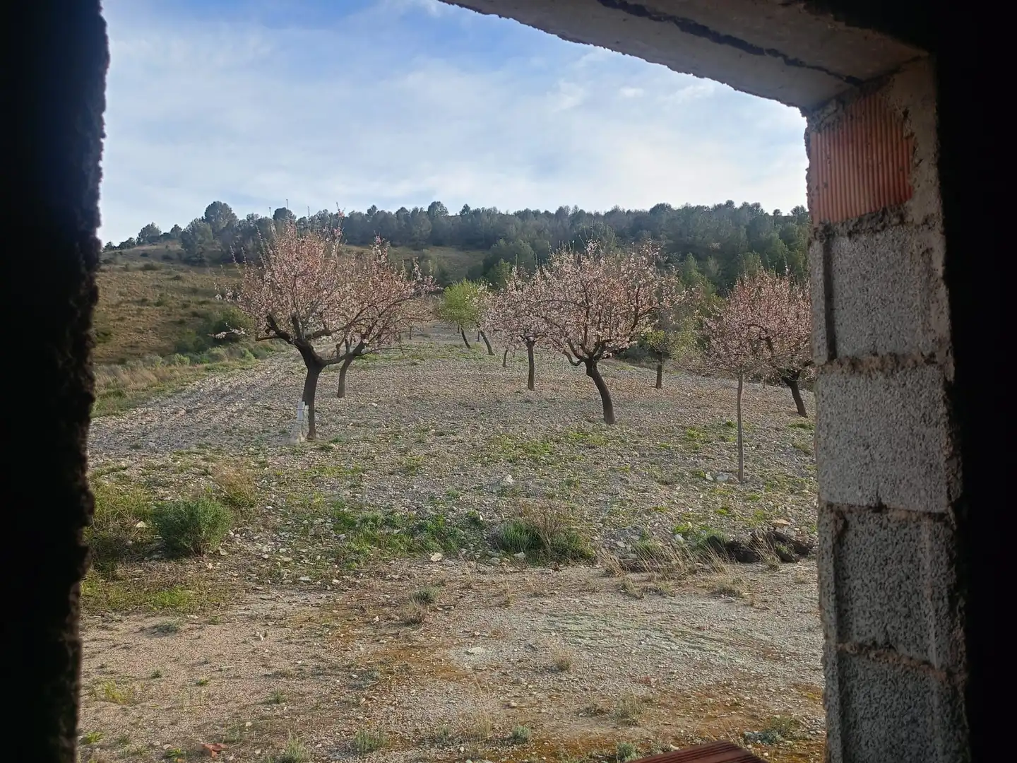 Maison rustique à vendre à Pedanías Centro, imagen 9