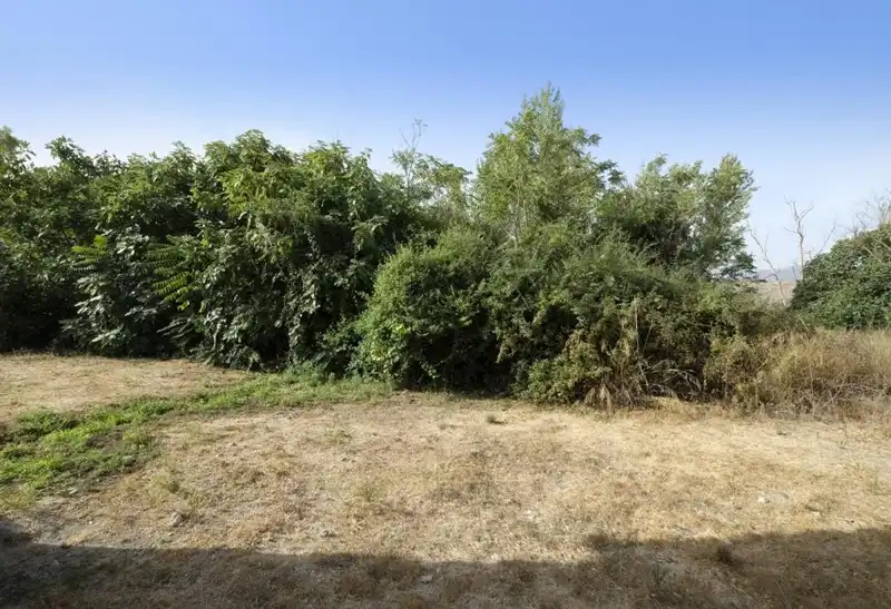 Terreni e lotti in vendita a Padul, imagen 10