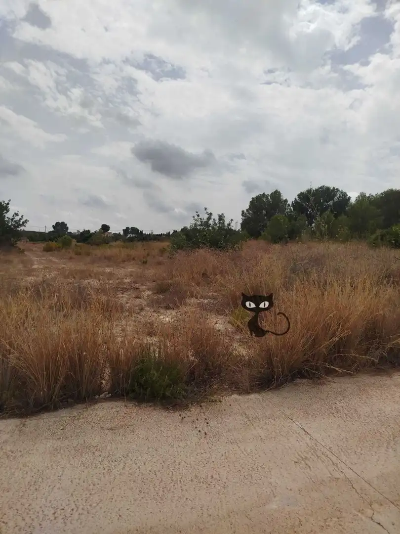 Rural land for sale in Calicanto - Cumbres de Calicanto - Santo Domingo, imagen 3
