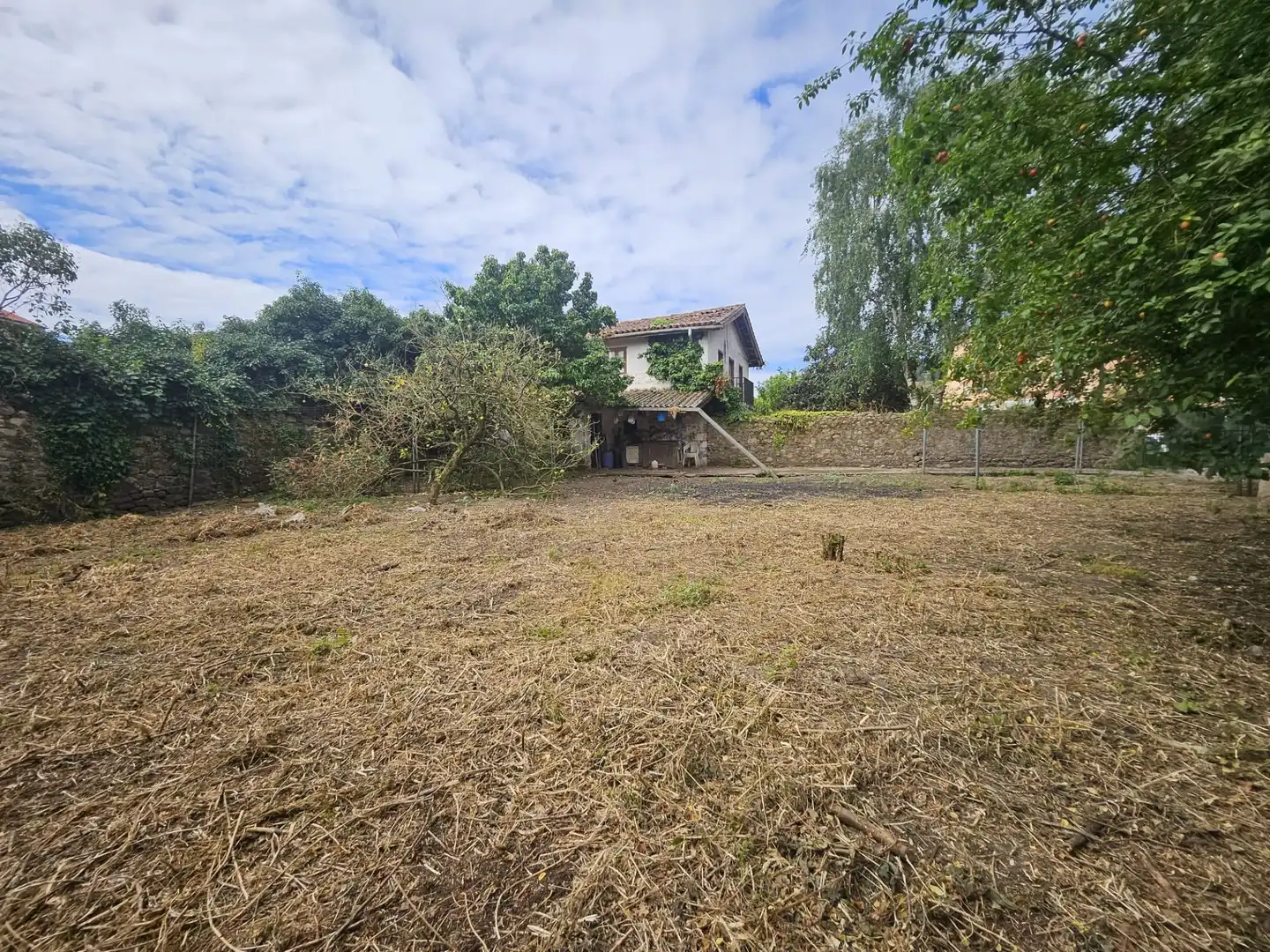 Casa amb jardí en venda a la cruz, imagen 4