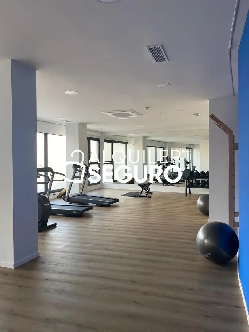 Flat with lift to rent in ESCULTOR ANTONIO CAMPILLO, imagen 13