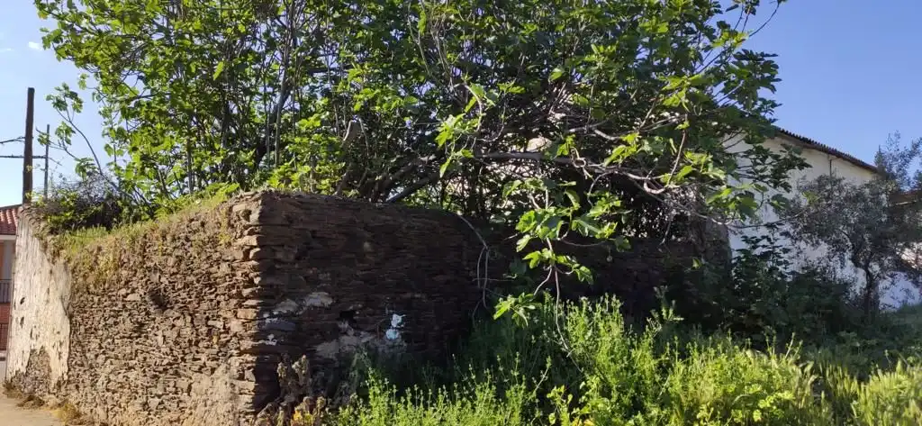 Casa o xalet en venda a Carretera de Serradilla, Mirabel