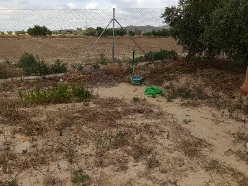 Terreno en venta en Lorca