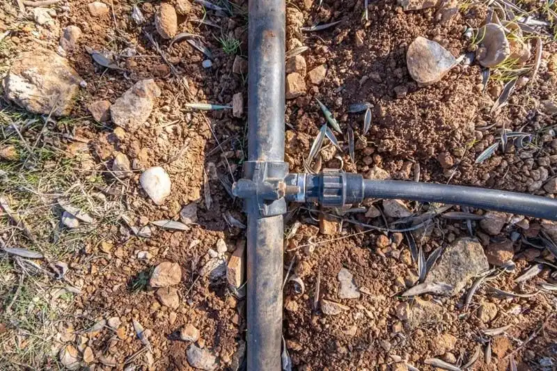 Casa rústica en venda a PAGO CORTIJO DE LAS MONJAS POLIGONO 1 PARCELA 193, imagen 9