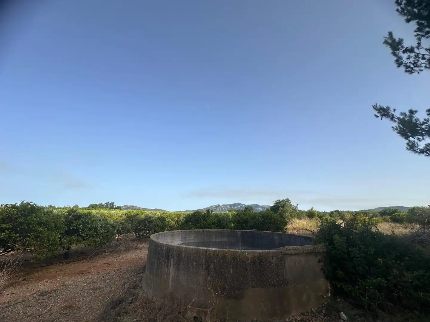 Rural land for sale in Masdenverge, imagen 20