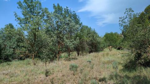 Foto 5 de Finca rústica en venta en La Fresneda, Teruel