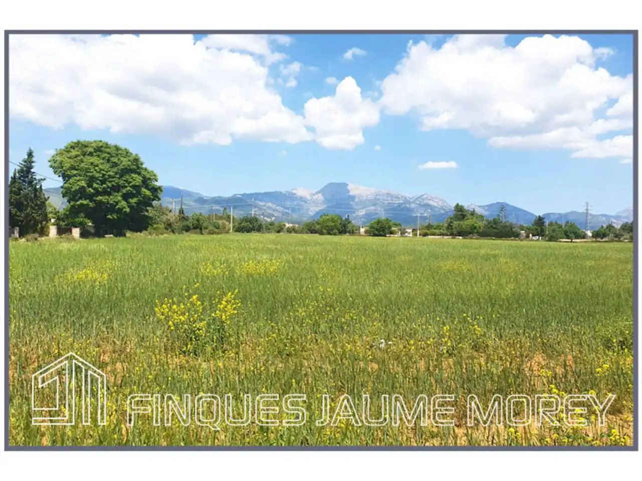 Residential for sale in Inca