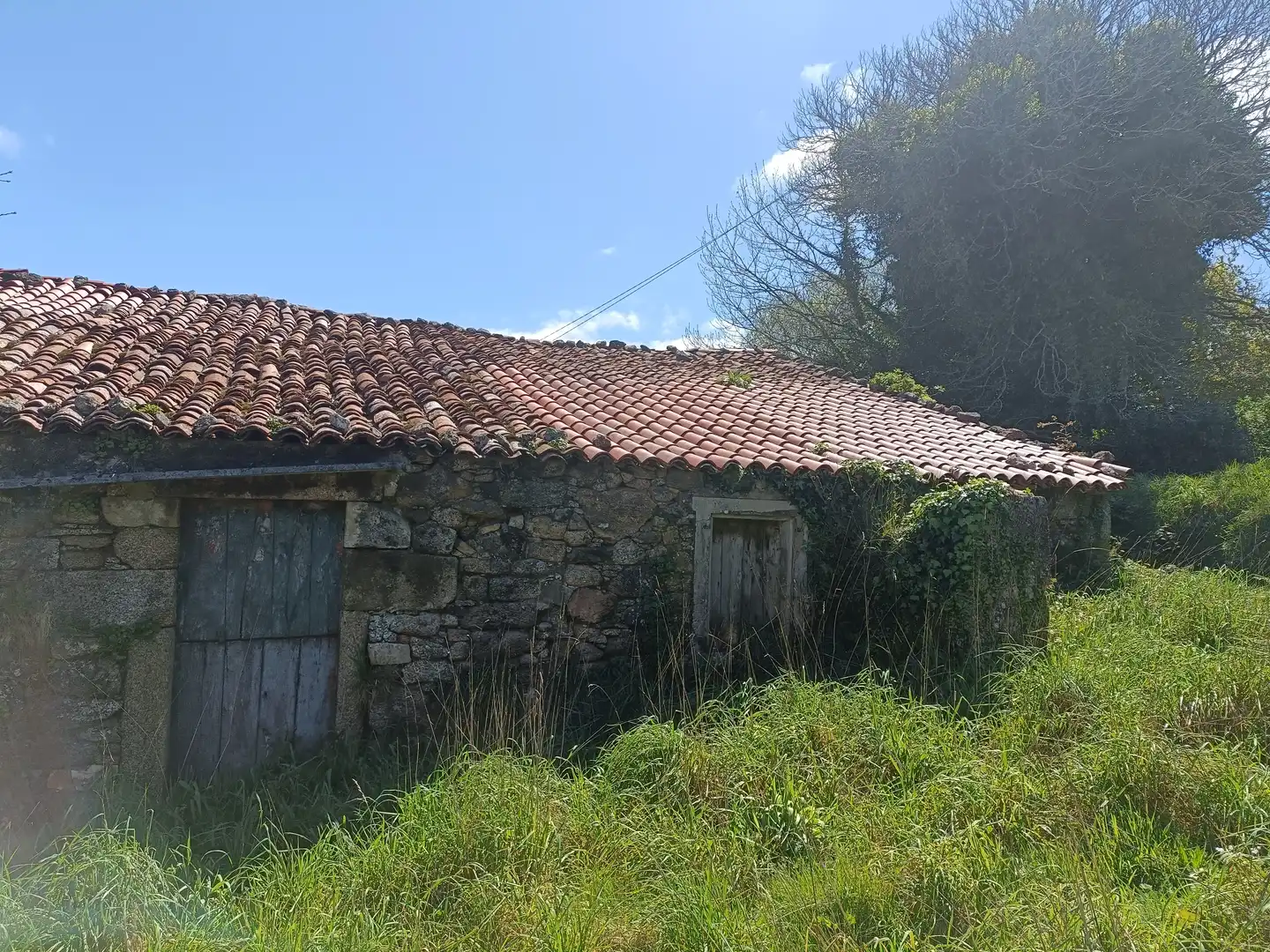 Casa con jardín en venta en Curtis, imagen 9