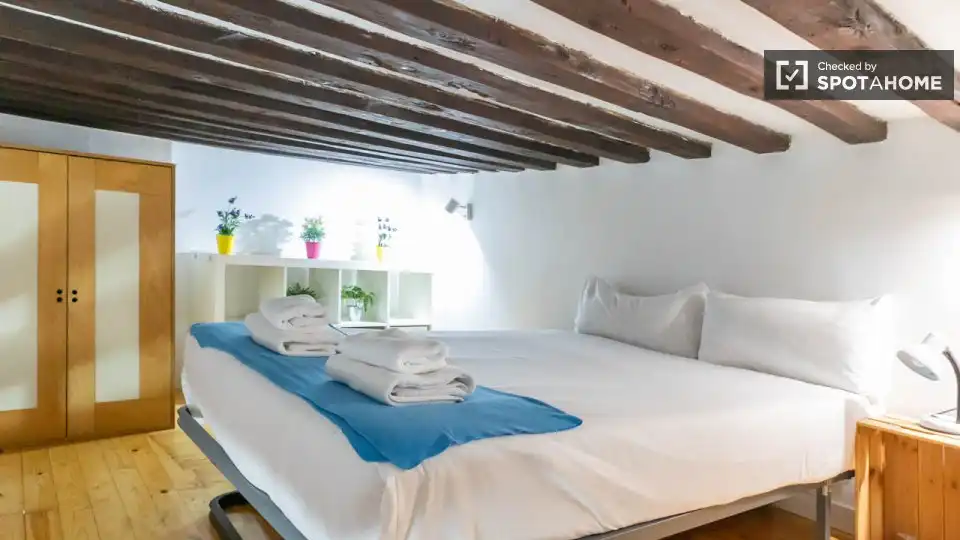 Habitación en Embajadores - Lavapiés