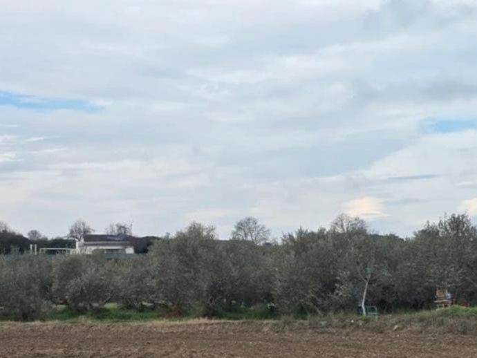 Land for sale in  Pamplona / Iruña