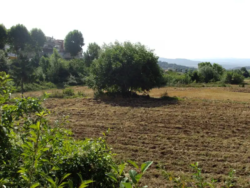 Terreno rustico in vendita a Ctra de Sant Fruitós de Bages, imagen 7