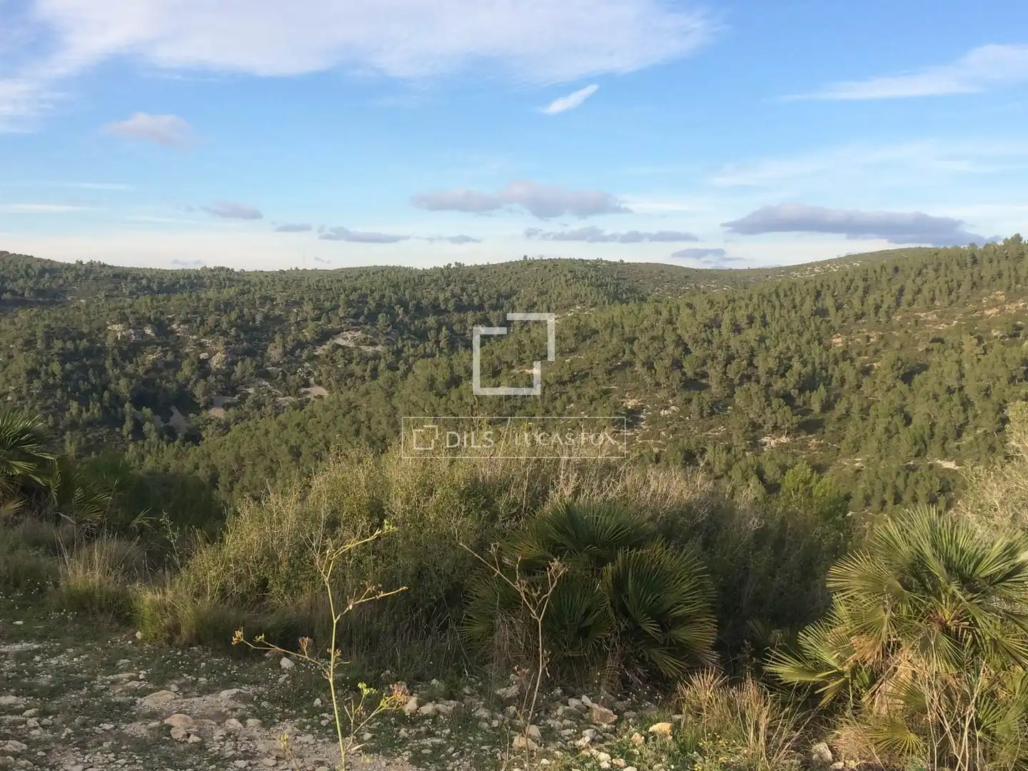 Casa rustica in vendita a Castellet i la Gornal, imagen 29