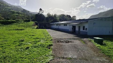 Photo 4 of Industrial buildings for sale in Celis - Bº Rionansa-los Pendios Pol. 3 Parcela 142, Rionansa, Cantabria