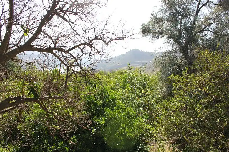 Terreni e lotti in vendita a Andalucía, imagen 11