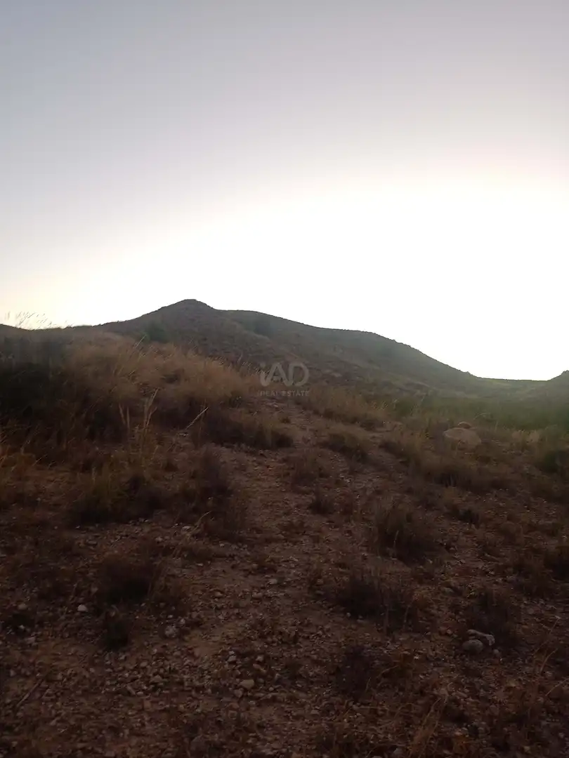 Country homes for sale in Lorca