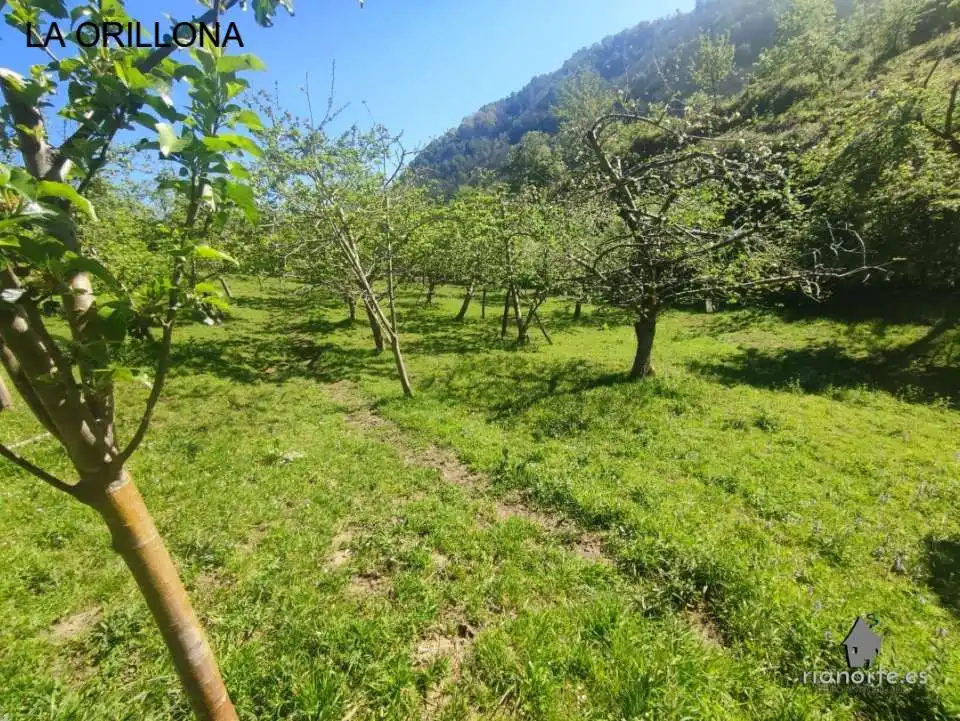 Terreno rustico in vendita a San Martín del Rey Aurelio, imagen 13