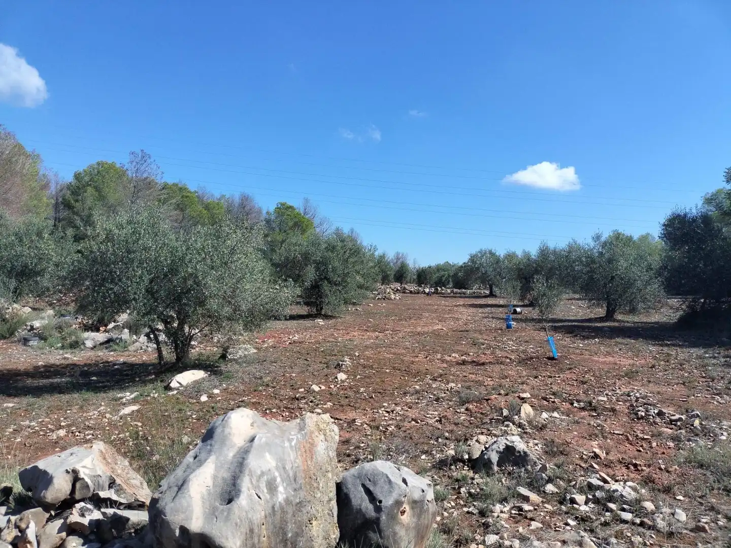 Rustikales Grundstück zum Verkauf in Xàtiva, imagen 11