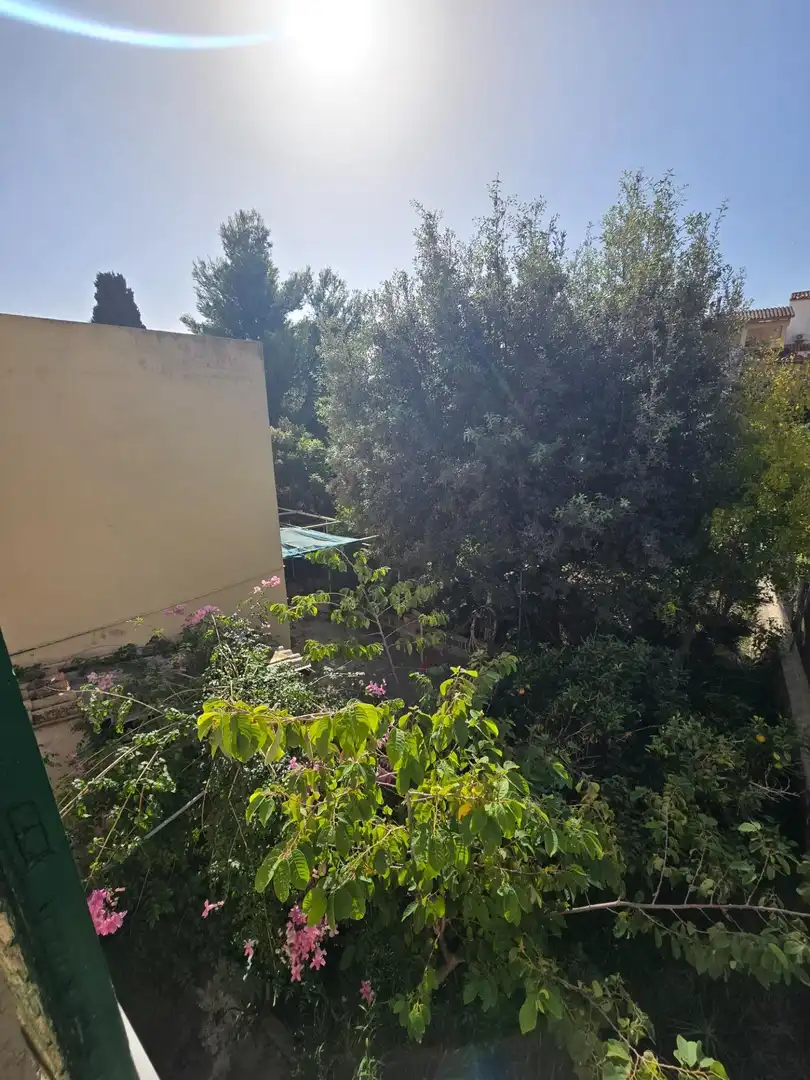 Haus mit Garten zum Verkauf in Selva, imagen 21