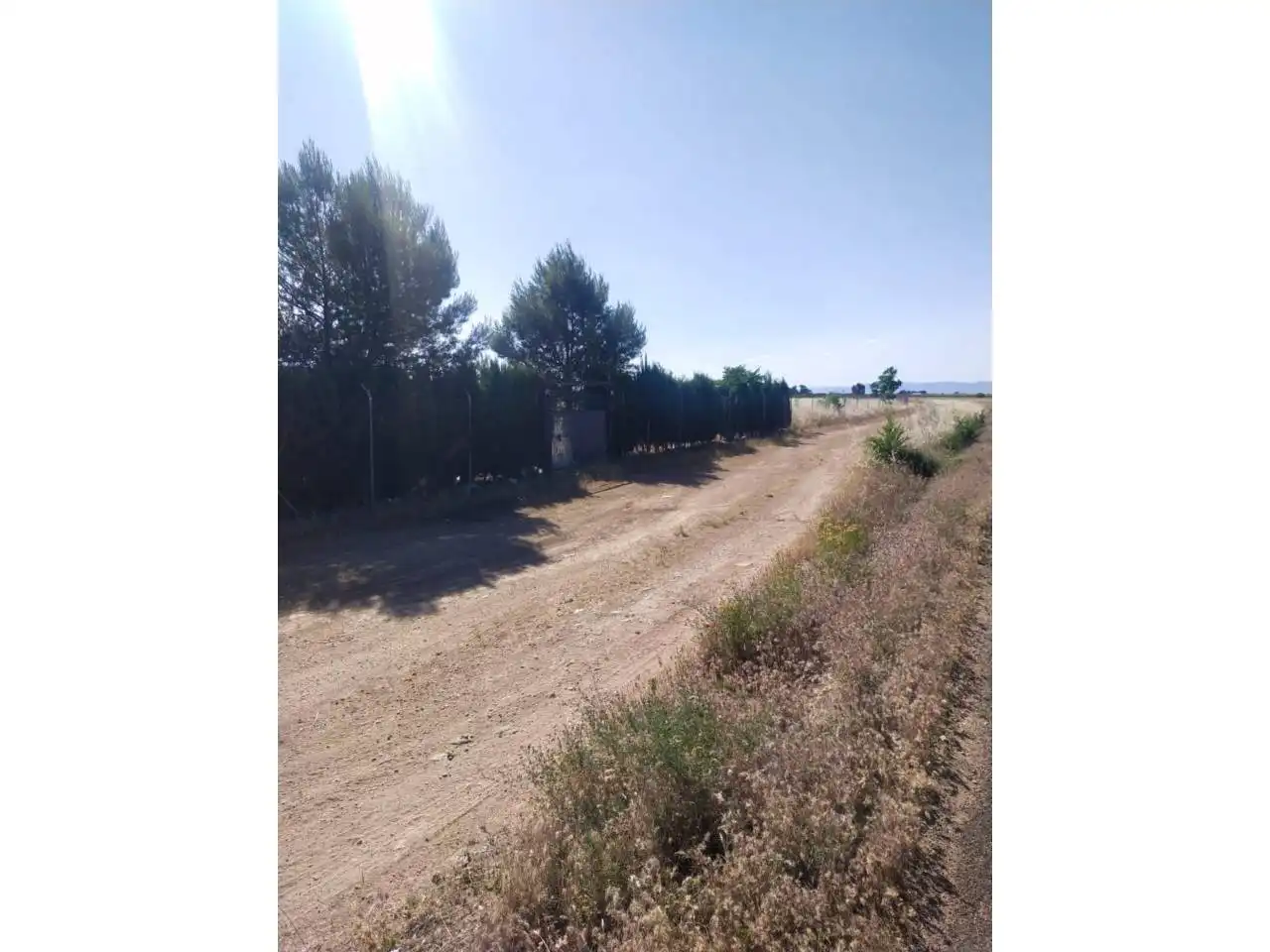 Terreny rústic en venda a Calle Carretera de Villarubia, imagen 2