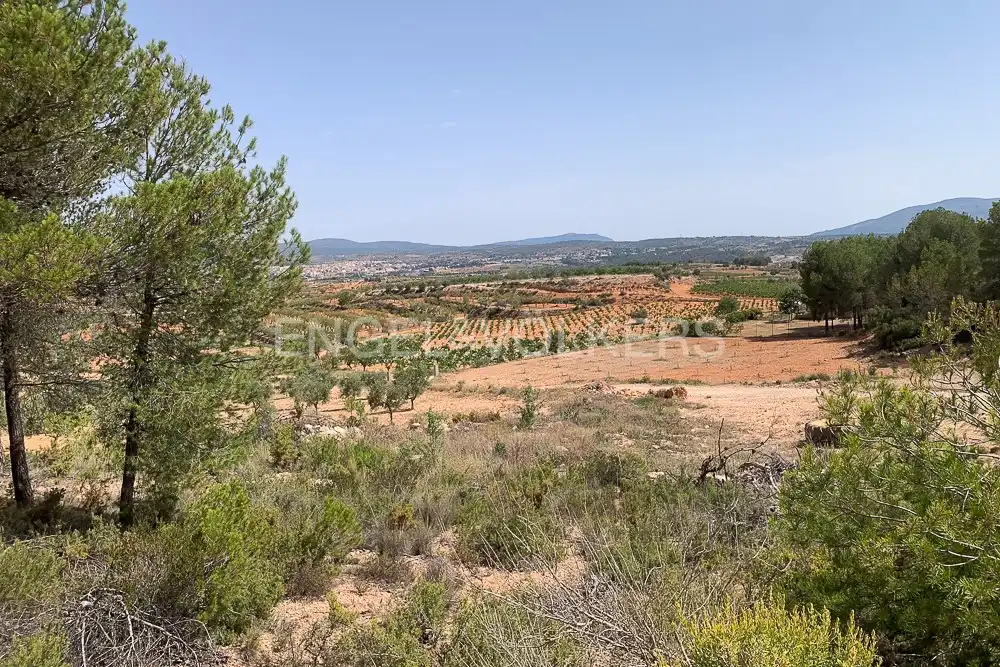 Lands and plots for sale in Requena, imagen 23