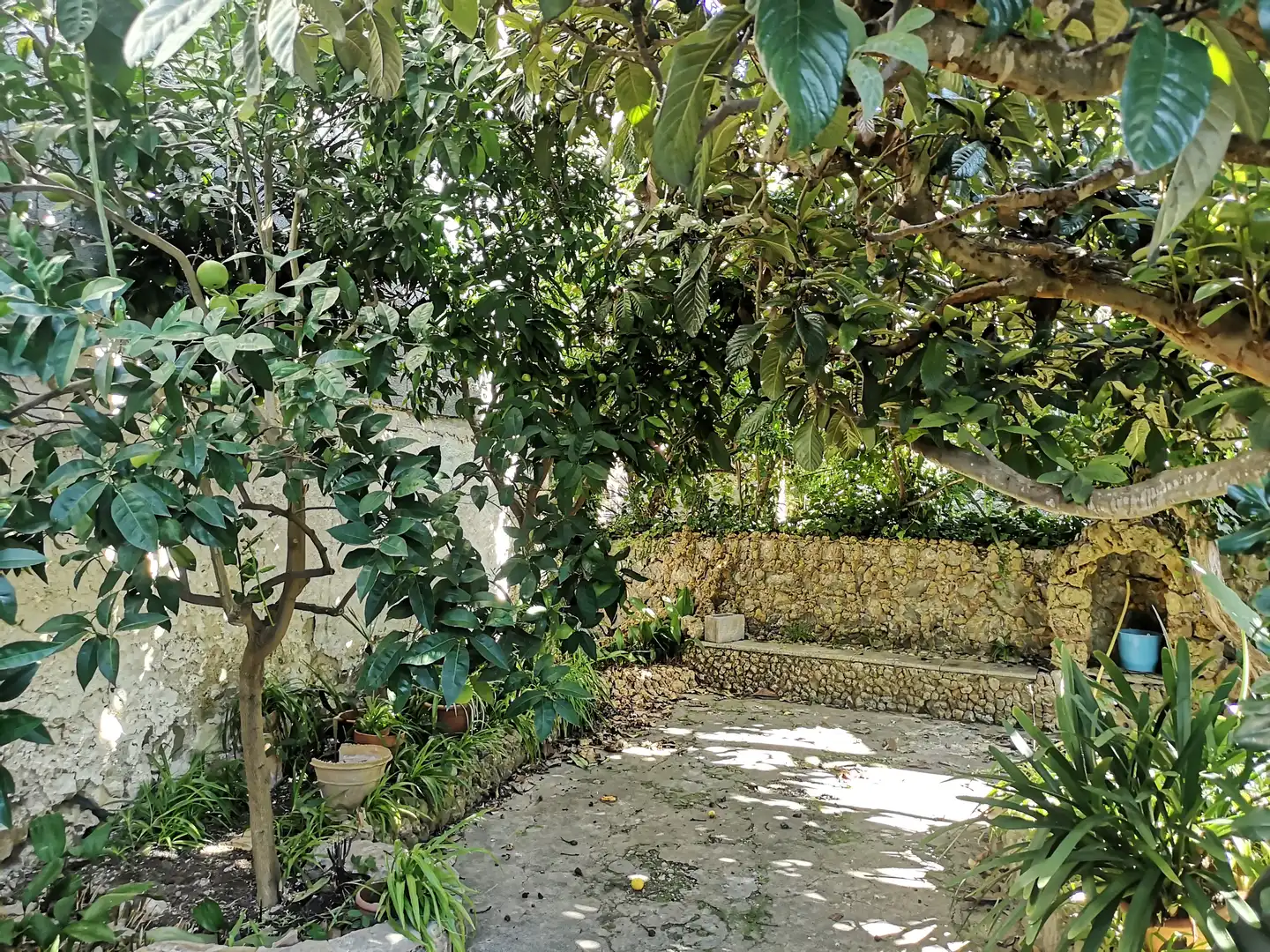 Jardí de Casa o xalet en venda en Puigpunyent amb Jardí privat, Moblat i Forn