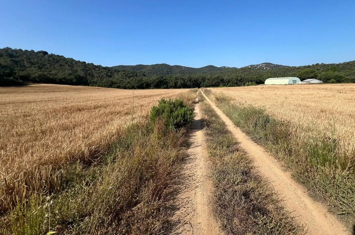 Finca rústica en venta en Tossa de Mar con Jardín privado