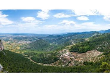 Terreno rustico in vendita a Alaró