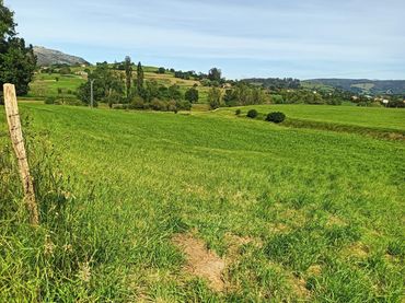 Terreno rustico in vendita a Penagos