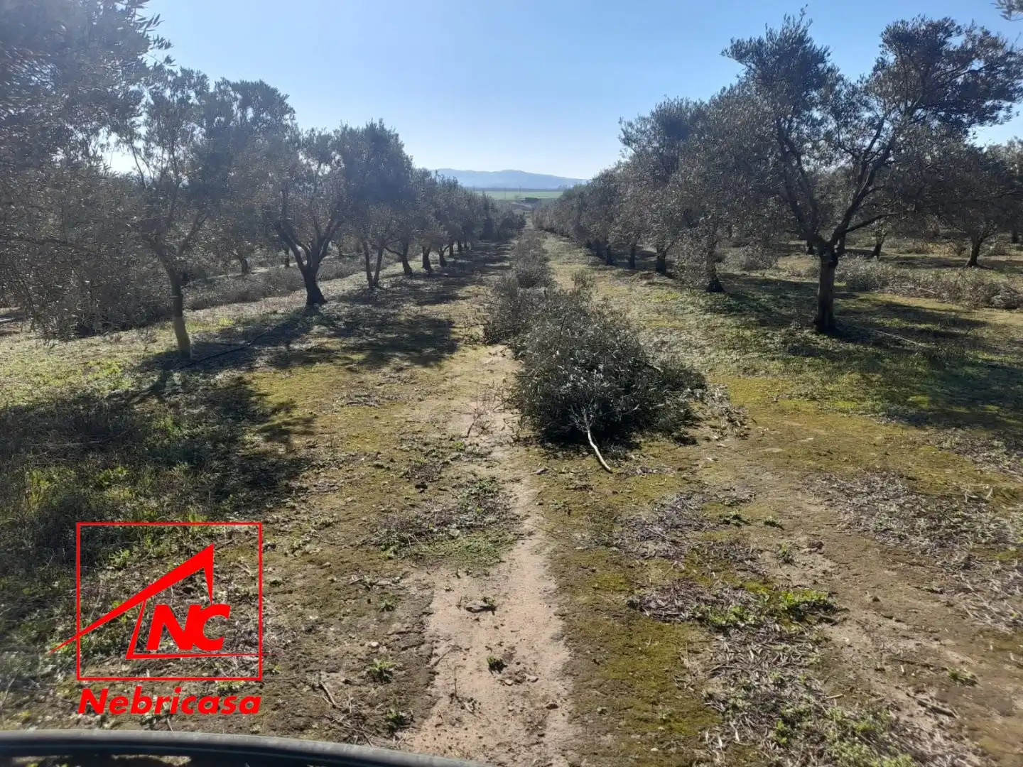 Terreni e lotti in vendita a Lebrija, imagen 12
