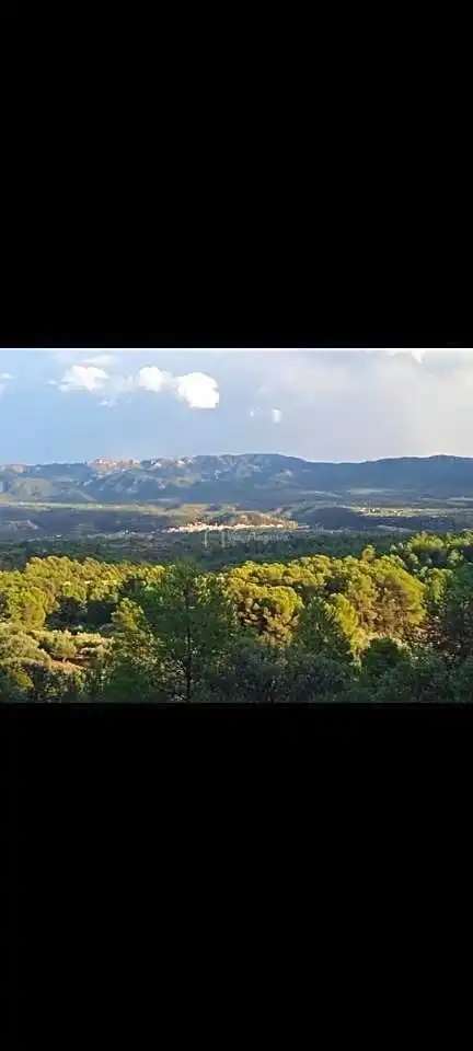 Terrain rustique à vendre à La Baixada, imagen 19