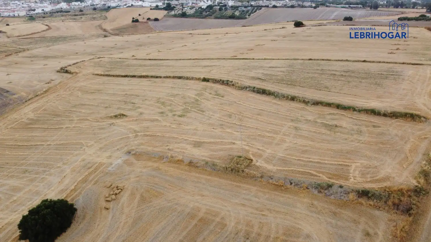 Lands and plots for sale in Lebrija, imagen 4