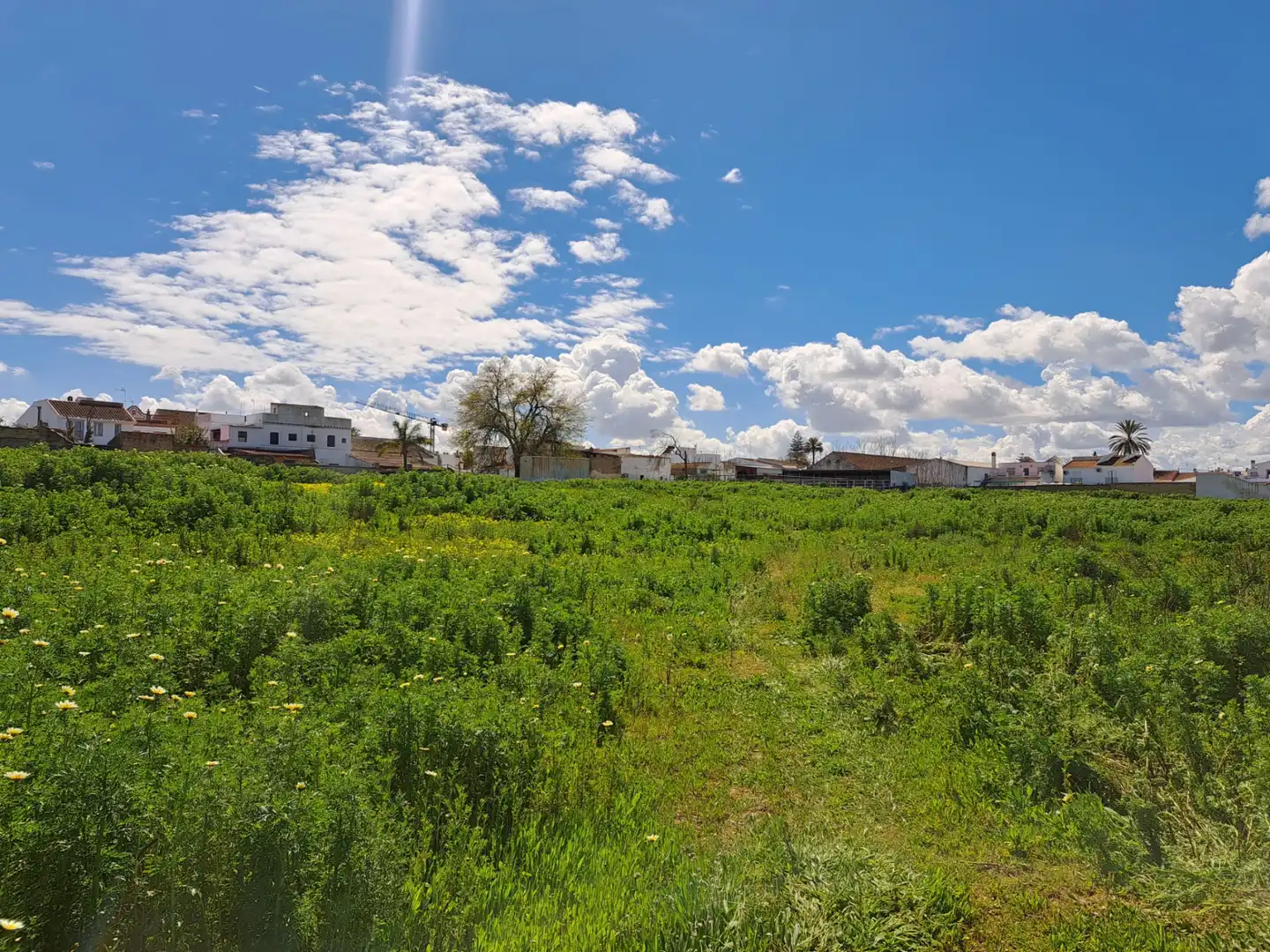 Residencial en venda a Calle Aljarafe, Villanueva del Ariscal