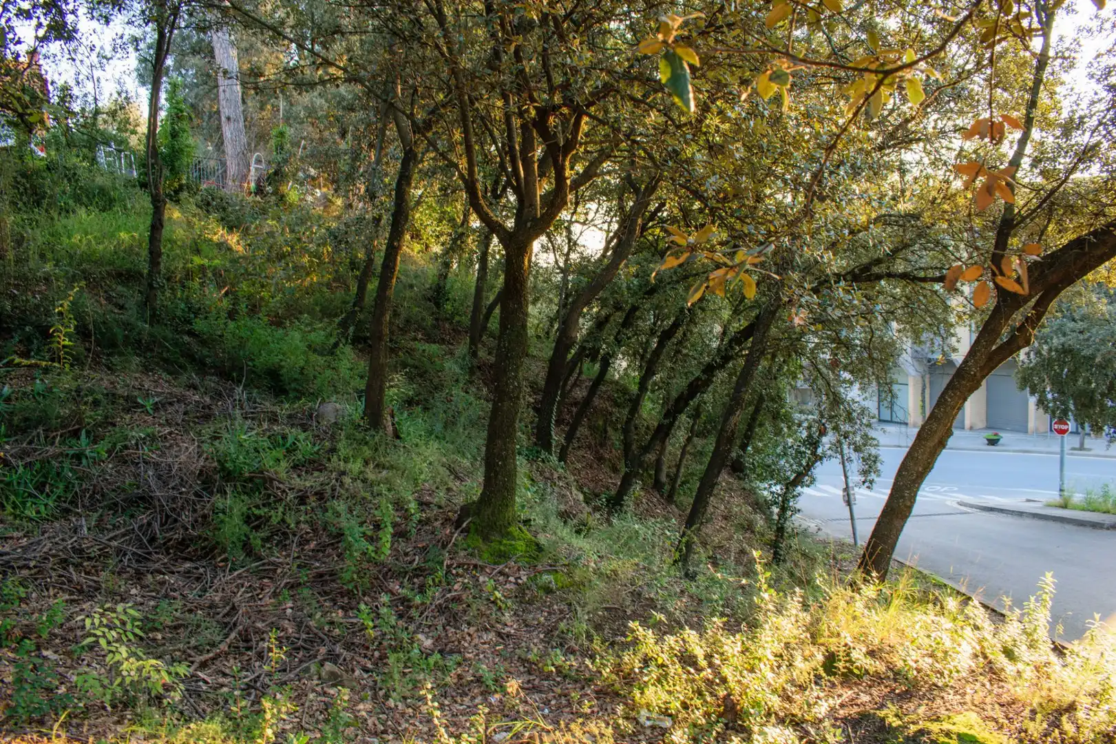Lands and plots for sale in Bigues i Riells del Fai, imagen 8