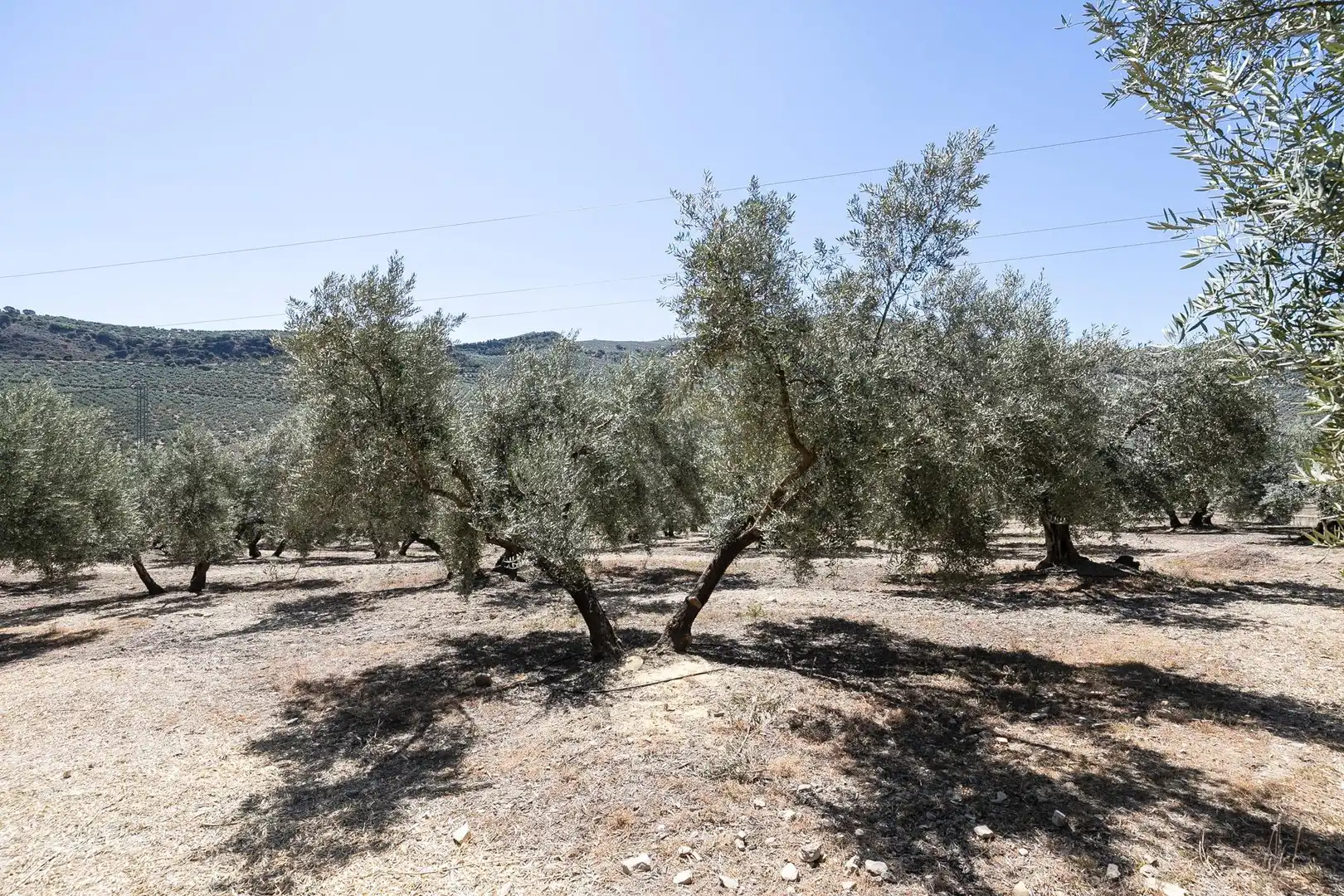 Finca rústica en venta en Montefrío con Calefacción, Jardín privado y Terraza