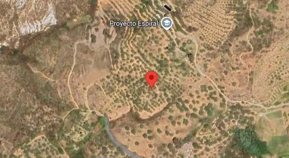Rural land for sale in 3 . Parcela, 174, imagen 11