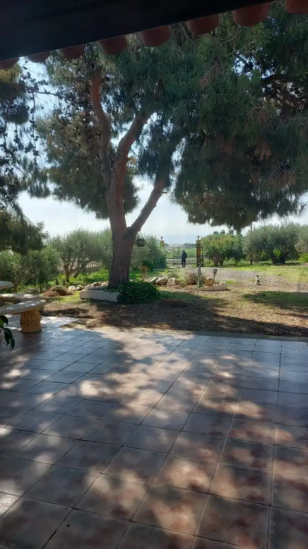 Haus oder Chalet zum Verkauf in Paraje Cuesta de Gos, 38, Tébar - Los Arejos