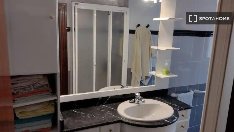Bathroom of Apartments for share in Bilbao   with Air Conditioner, Terrace and Furnished