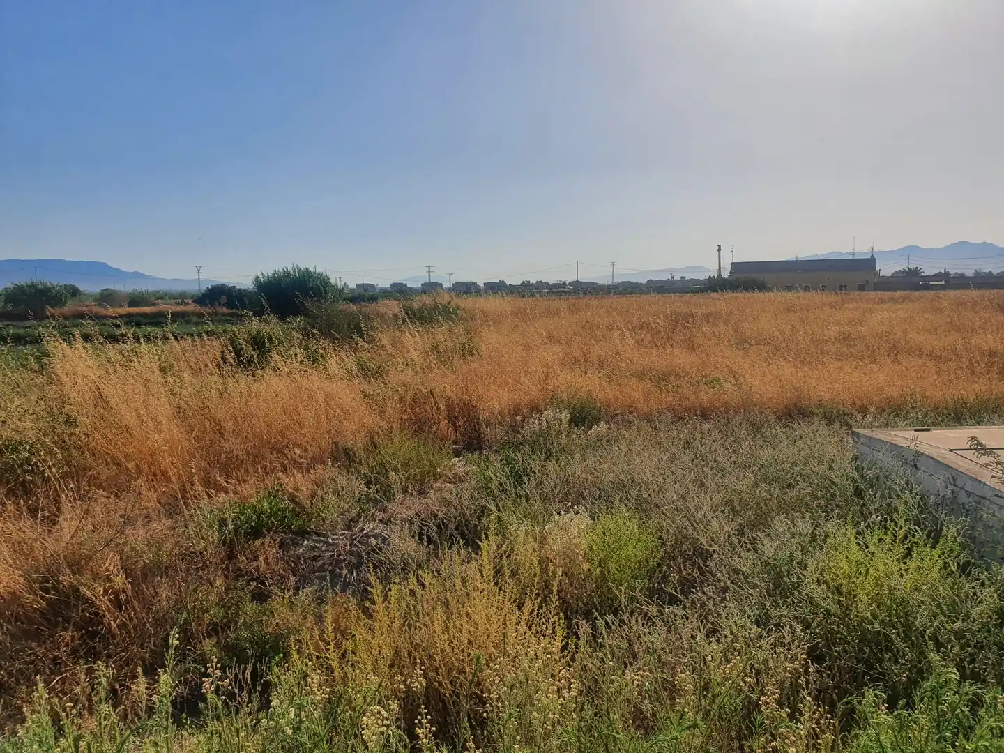Terreny residencial en venda a Lorca Ciudad, imagen 3