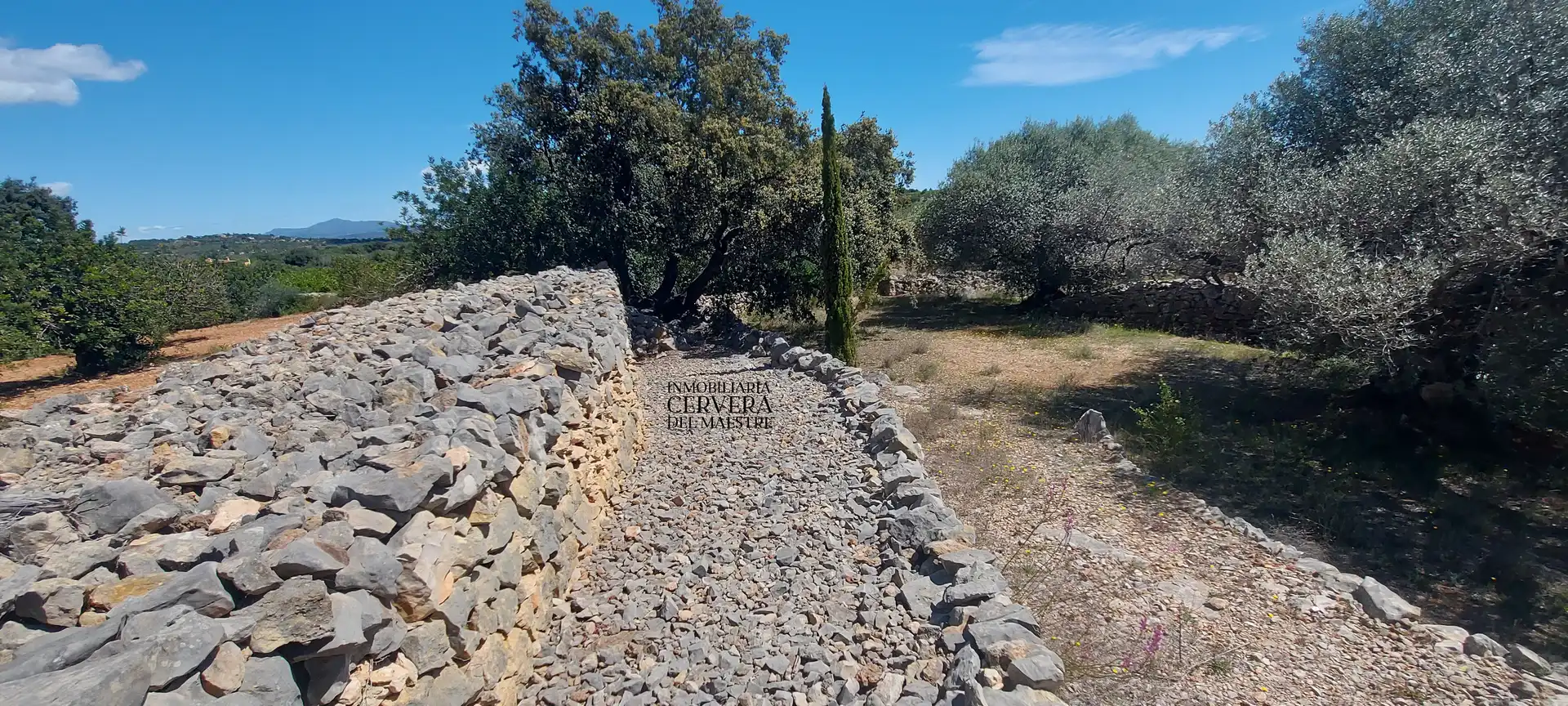 Terreno rustico in vendita a Cervera del Maestre, imagen 10