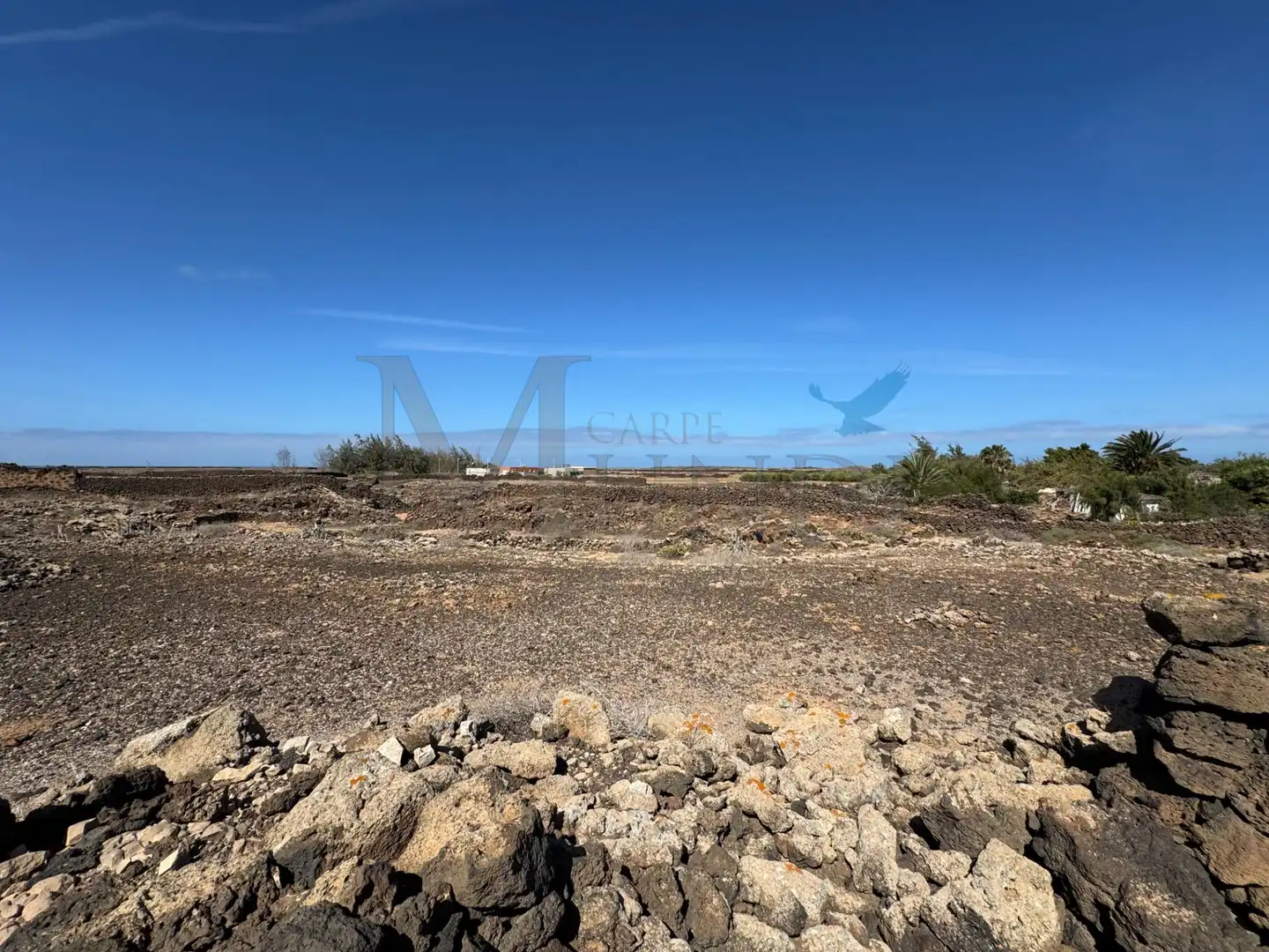 Land for sale in La Oliva