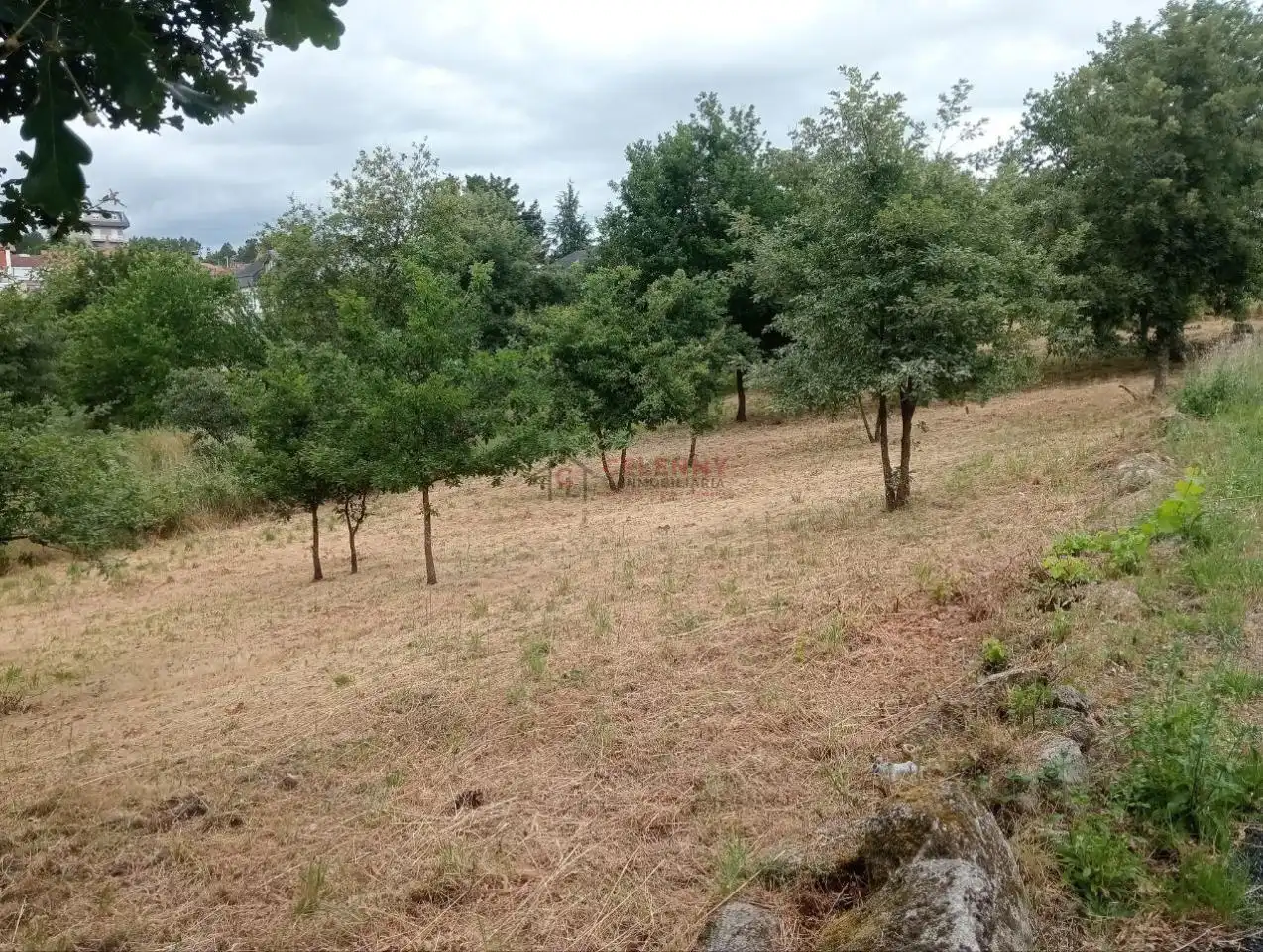 Terreni e lotti in vendita a San Cibrao das Viñas, imagen 6