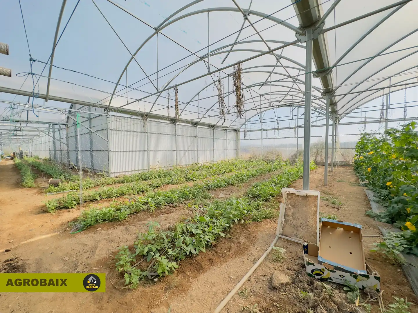 Terreno rustico in vendita a Vilamarina, imagen 71
