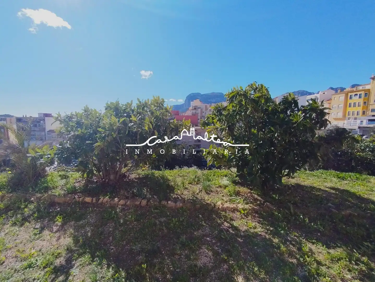 Vista exterior de Casa o xalet en venda en Callosa d'en Sarrià amb Jardí privat