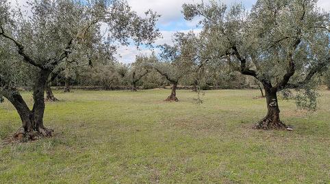 Photo 3 of Country house for sale in La Miliana, Ulldecona, Tarragona